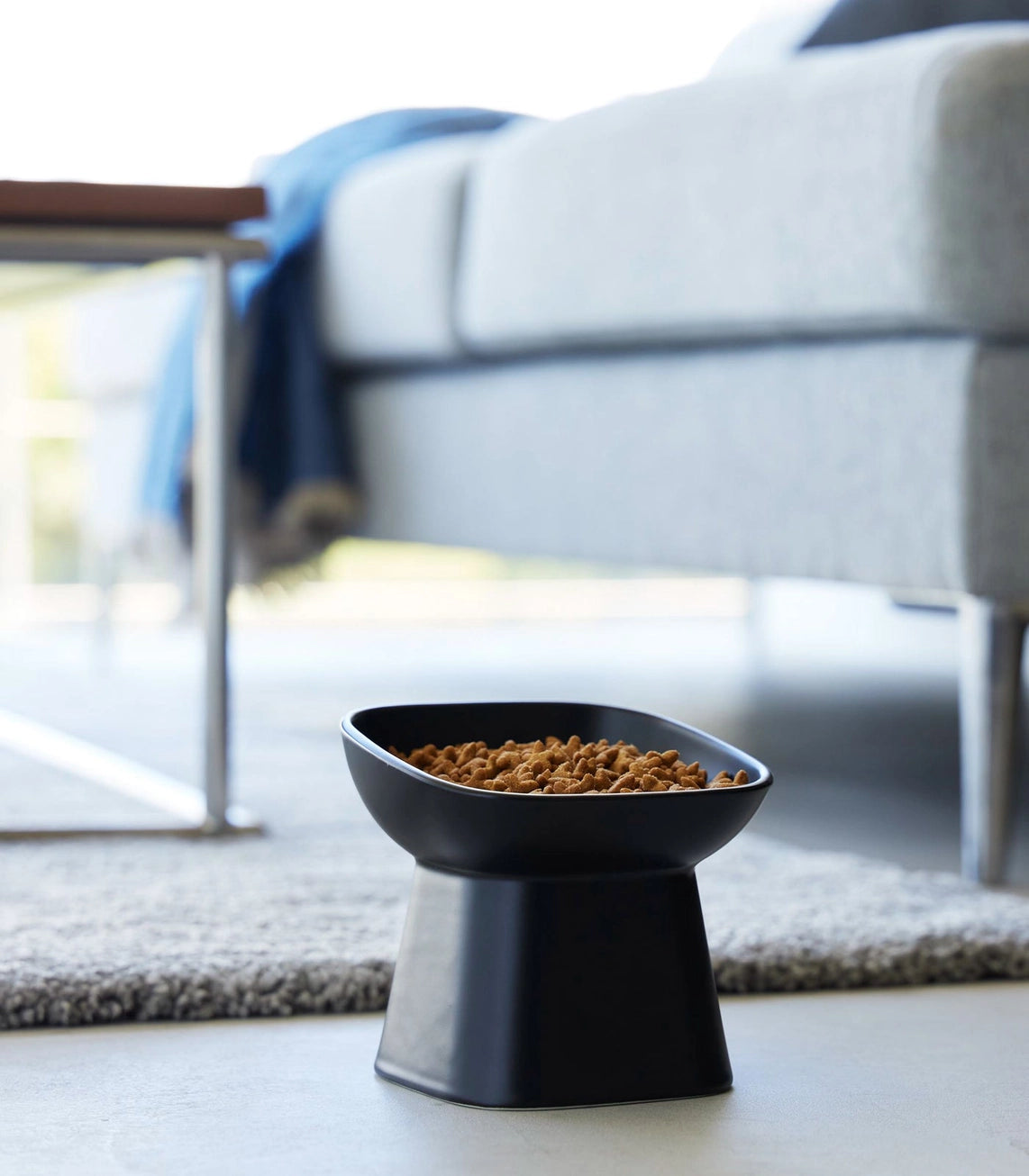 Modern Elevated Ceramic Pet Bowl