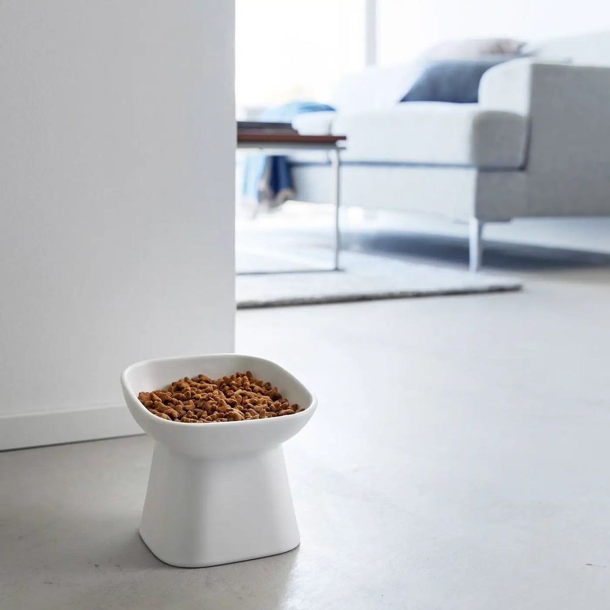 Modern Elevated Ceramic Pet Bowl