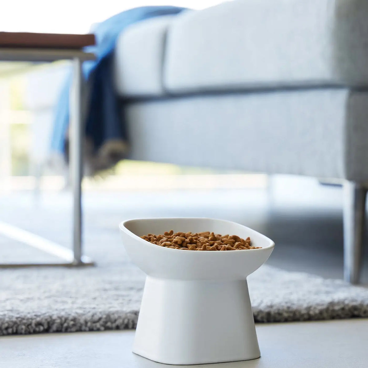 Modern Elevated Ceramic Pet Bowl