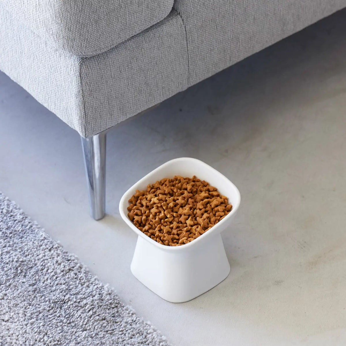 Modern Elevated Ceramic Pet Bowl