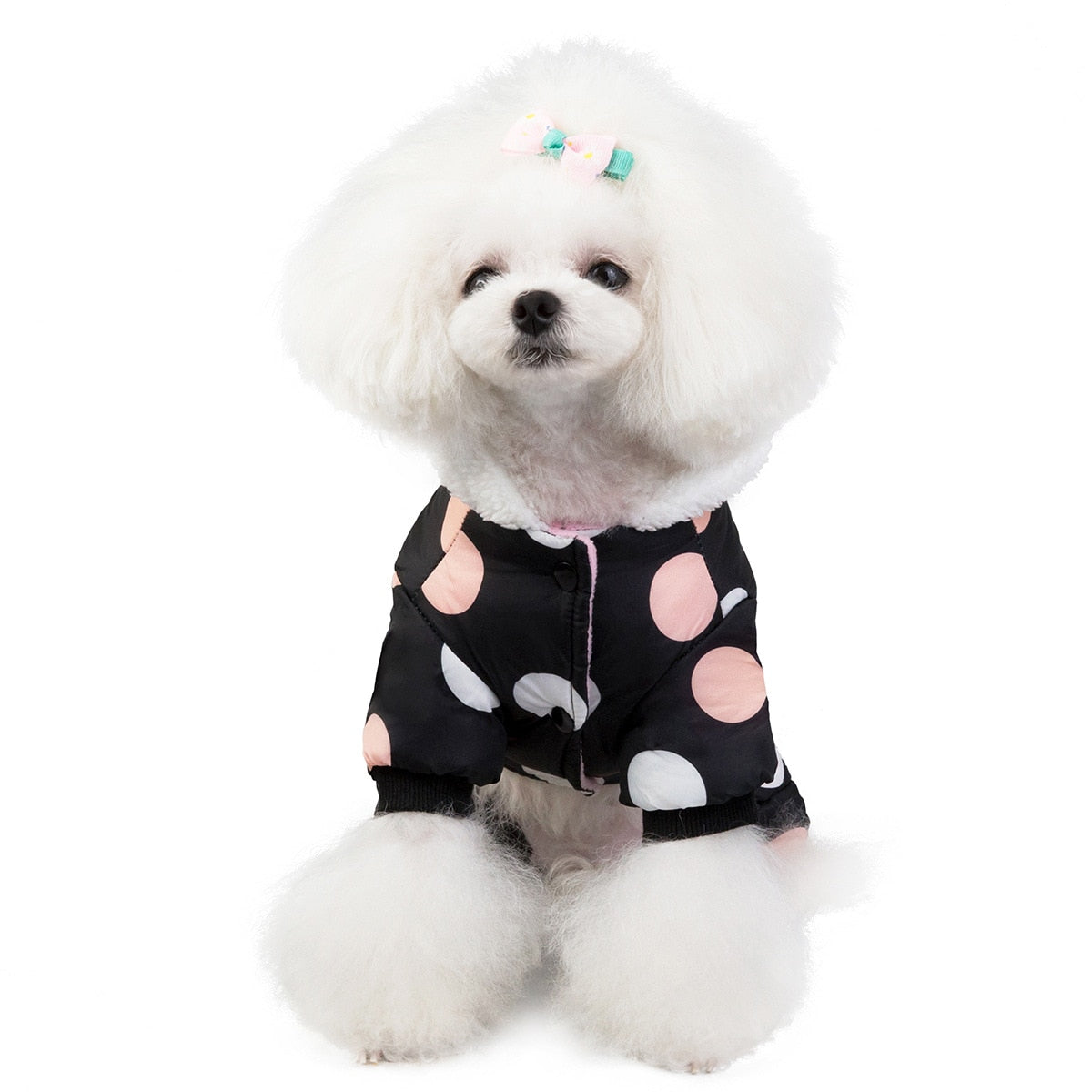 Waterproof Fleece-Lined Pet Parka